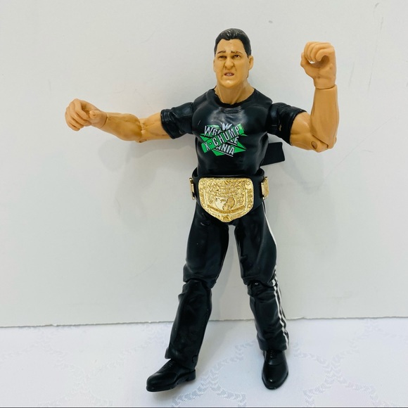 WWE Shane McMahon Titan TronFigureJakks Wrestling - Picture 11 of 12